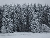 Bild: Der Oberharz am Brocken
