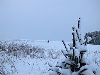 Bild: Der Oberharz am Brocken