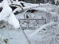 Bild: Der Oberharz am Brocken