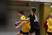 Durchwachsenes Handball-Wochenende Bild: Durchwachsenes Handball-Wochenende