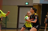 Durchwachsenes Handball-Wochenende Bild: Durchwachsenes Handball-Wochenende