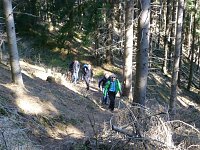 Harzwanderung Bild: Harzwanderung