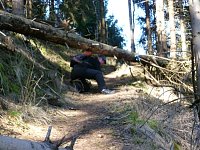 Harzwanderung Bild: Harzwanderung
