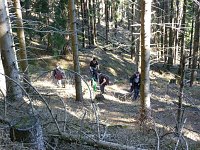 Harzwanderung Bild: Harzwanderung