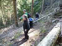 Harzwanderung Bild: Harzwanderung