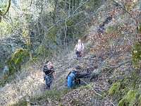 Harzwanderung Bild: Harzwanderung