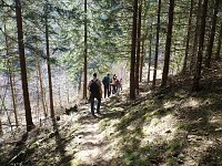 Harzwanderung Bild: Harzwanderung