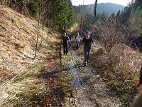 Harzwanderung Bild: Harzwanderung