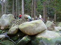 Harzwanderung Bild: Harzwanderung