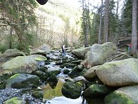 Harzwanderung Bild: Harzwanderung