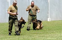 Bild: Hundestaffel
