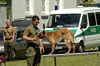 Bild: Hundestaffel