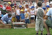 Bild: Sportfest Wipperdorf