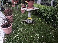 Bild: Unterwegs in Bad Sachsa