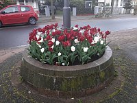 Bild: Unterwegs in Bad Sachsa