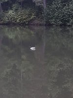 Bild: Unterwegs in Bad Sachsa