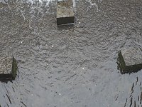 Bild: Unterwegs in Bad Sachsa