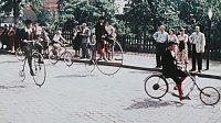 Bild: 1. Rolandsfest 1955