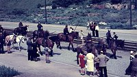 Bild: 1. Rolandsfest 1955