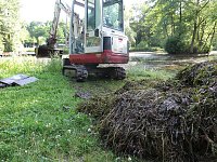 Bild: Kampf dem Krause Laichkraut