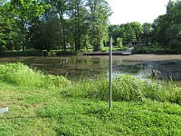 Bild: Kampf dem Krause Laichkraut