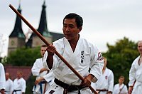 Bild: Training mit Tamayose Sensei