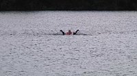 Bild: Wasserretter im Einsatz