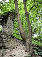 Bild: Peter Blei besuchte die Burg Lohra
