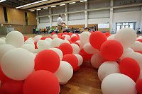 Bild: Handballer mit guter Bilanz
