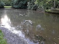 Bild: Entsorgt