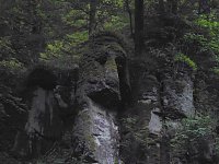 Bild: Harzwanderung in der Dunkelheit