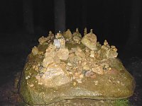 Bild: Harzwanderung in der Dunkelheit