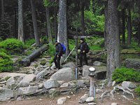 Bild: Harzwanderung in der Dunkelheit