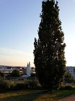 Bild: Nach dem Spiel auf dem Berg