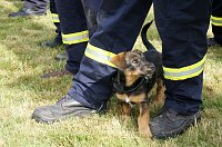 Löschangriff des Feuerwehr-Nachwuchses Bild: Löschangriff des Feuerwehr-Nachwuchses