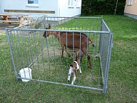 Bild: Interessante Projekte vorgestellt