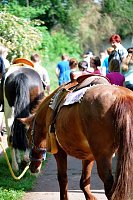 Bild: Sommerferienwoche im Schullandheim Harz Rigi