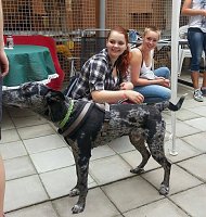 Bild: Tierisches Sommerfest