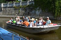 Bild: Doppelk&ouml;rner auf Tour