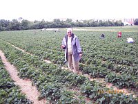 Bild: Erdbeeren und Fu&szlig;ball