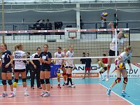 Bild: Volleyball in der Wiedigsburghalle