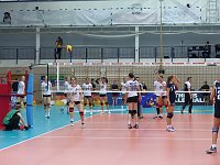 Bild: Volleyball in der Wiedigsburghalle
