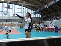 Bild: Volleyball in der Wiedigsburghalle