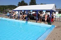 Bild: Hatz begonnen