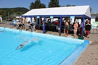 Bild: Hatz begonnen