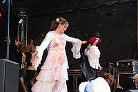 Bild: Sachsenanhalt-Tag in Wernigerode