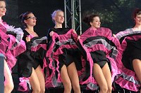 Bild: Sachsenanhalt-Tag in Wernigerode