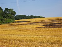 Bild: Feld brannte