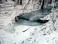 Bild: Winter im S&uuml;dharz