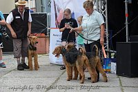 Bild: 20 Jahre Altstadtfest